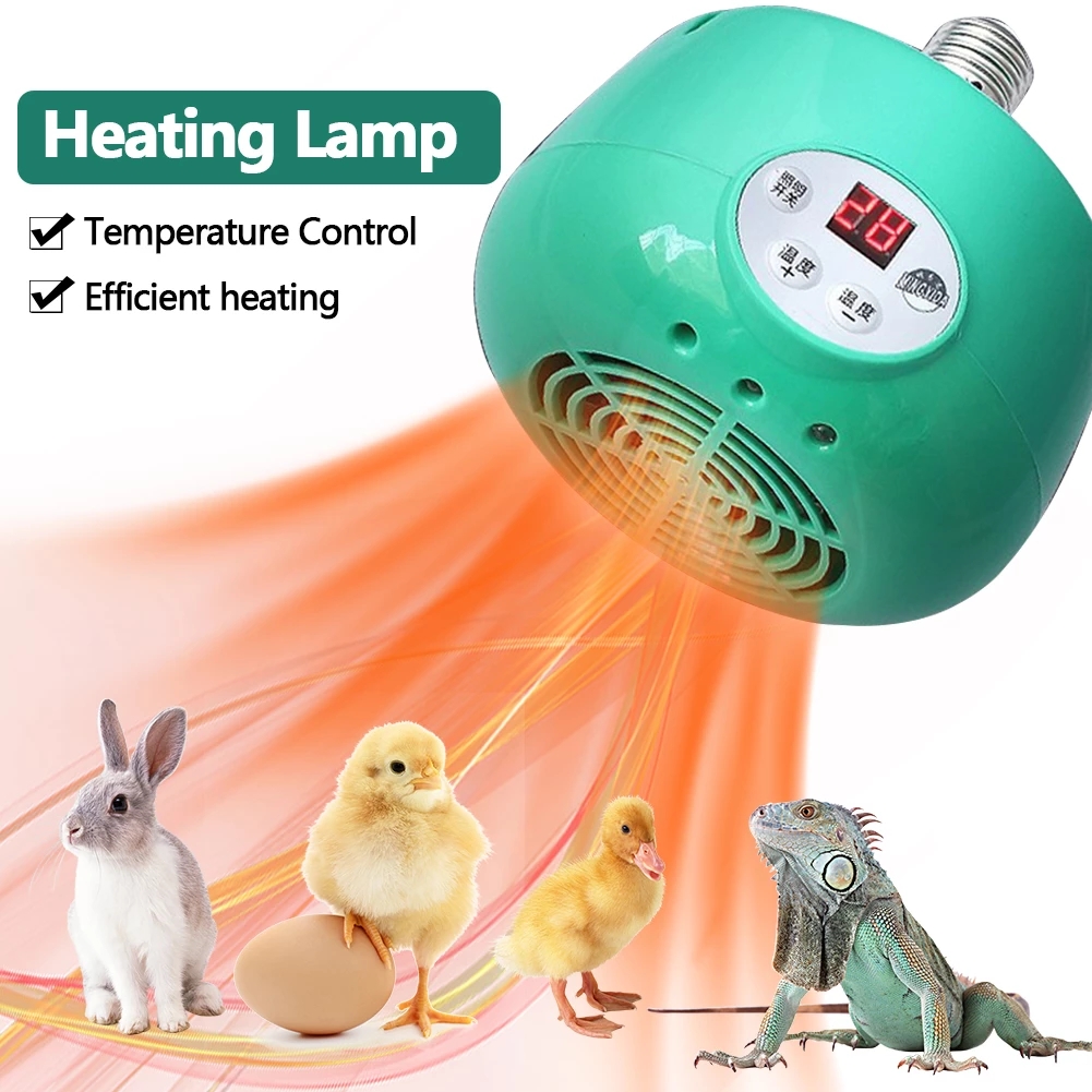 Guinea pig heat sales lamp