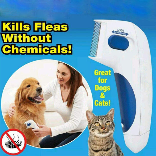 Electric flea comb best sale