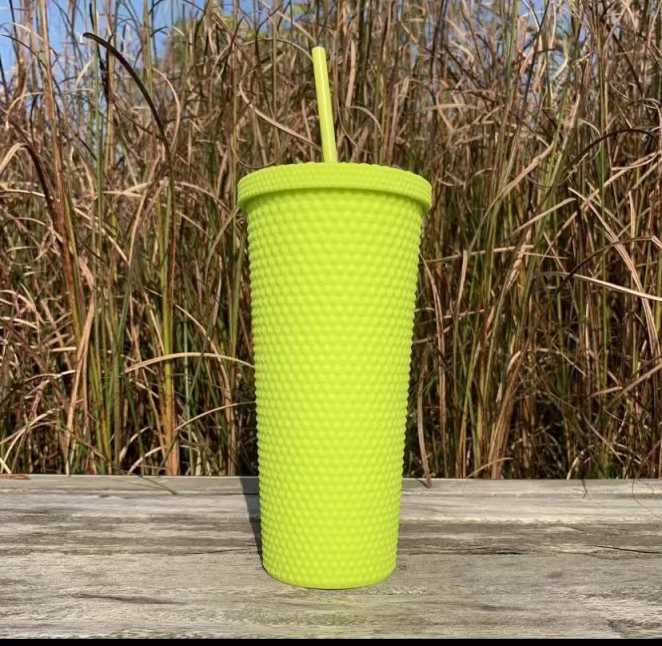 summer Cold Water Cup Tumbler With Straw Double Layer Plastic