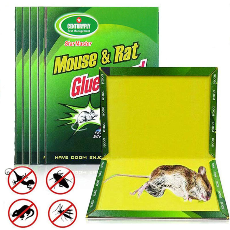 Buy Strong Non-toxic Mice Catcher Mouse Board Sticky Rat Glue Trap
