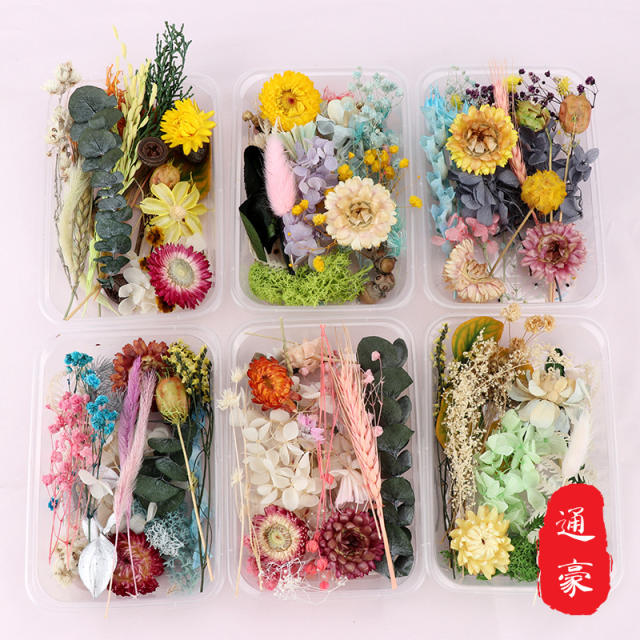 Real Dried Flowers DIY Craft Epoxy Resin Candle Making Jewelry